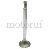 Agricultural Parts Exhaust valve