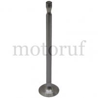 Agricultural Parts Exhaust valve