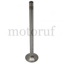 Agricultural Parts Exhaust valve