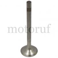 Agricultural Parts Exhaust valve