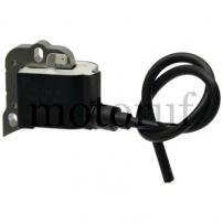 Gardening and Forestry Ignition coil