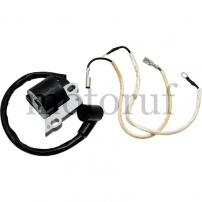 Gardening and Forestry Ignition coil