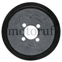 Gardening and Forestry Friction disc