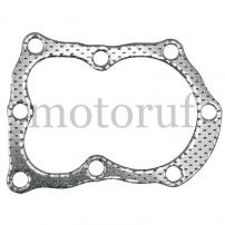 Gardening and Forestry Cylinder head gasket 