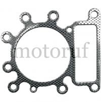 Gardening and Forestry Cylinder head gasket 