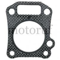 Gardening and Forestry Cylinder head gasket 