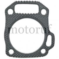 Gardening and Forestry Cylinder head gasket 