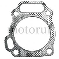 Gardening and Forestry Cylinder head gasket 