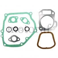 Gardening and Forestry Gasket set
