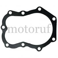 Gardening and Forestry Cylinder head gasket