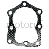 Gardening and Forestry Cylinder head gasket