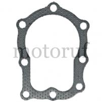 Gardening and Forestry Cylinder head gasket