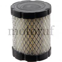 Gardening and Forestry Air filter