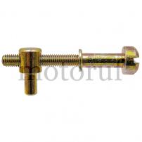 Gardening and Forestry Chain adjustment bolt