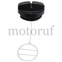 Gardening and Forestry Fuel tank cap