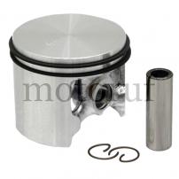 Gardening and Forestry Piston set