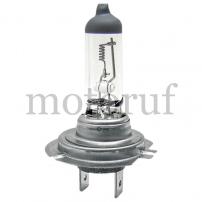 Top Parts Halogen bulb H7