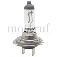 Top Parts Halogen bulb H7