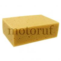 Industry and Shop Car sponge