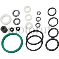 Gardening and Forestry Set of gaskets for pressure sprayer