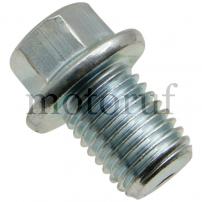 Gardening and Forestry Oil drain plug