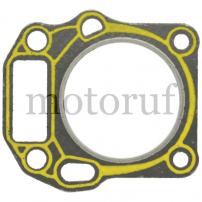 Gardening and Forestry Cylinder head gasket