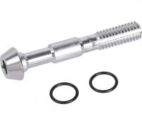 Shimano  Banjo Screw & O-Ring 
