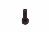 Shimano  Clamp Bolt (M5 x 18.5)
