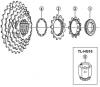 Shimano CS Cassette / Zahnkranz Spareparts  CS-HG30-I Cassette Sprocket 7-Speed / ac-Group