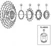 Shimano CS Cassette / Zahnkranz Spareparts CS-HG30-I Cassette Sprocket 7-Speed / ac-Group