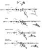 Sram  Spareparts XX (2010-2011) / XX WORLD CUP (2011-2014) - HYDRAULIC DISC BRAKE - LEVERS