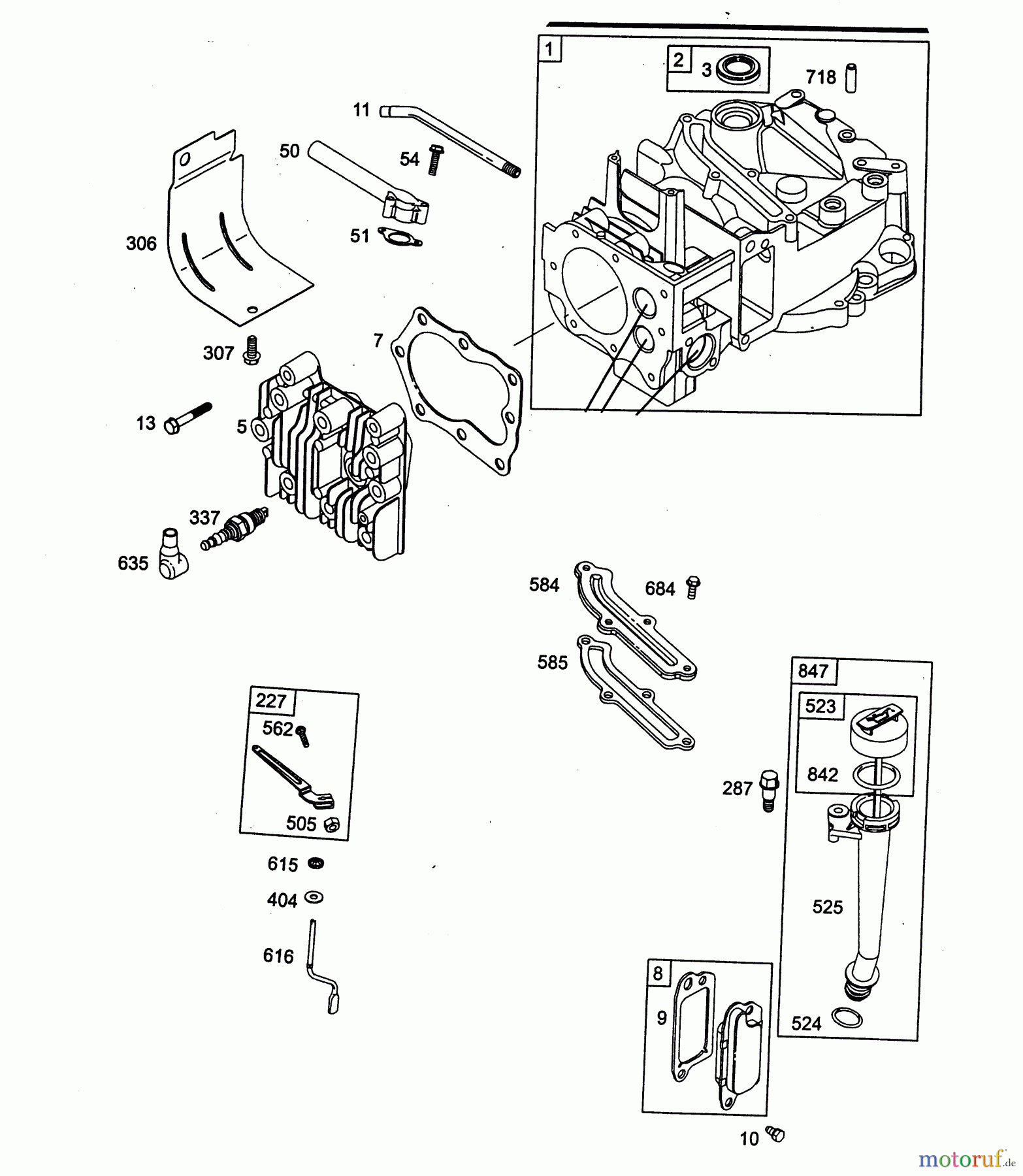  Wolf-Garten Petrol engines Briggs&Stratton Quantum 55 XM 2075060  (2003) Crankcase, Cylinder head