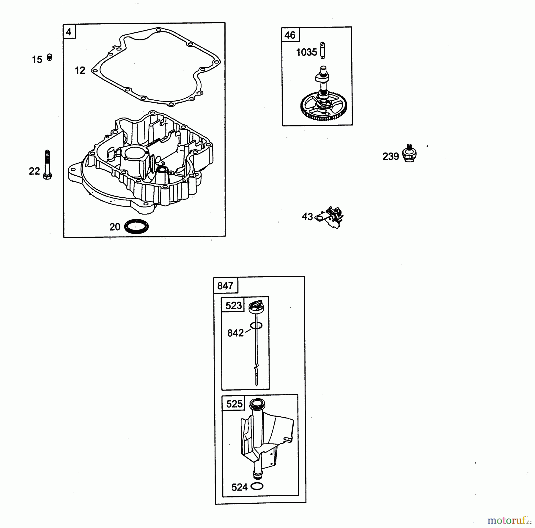  Wolf-Garten Petrol engines Briggs&Stratton Diamond I/C OHV 1001000  (2004) Camshaft, Sump bases