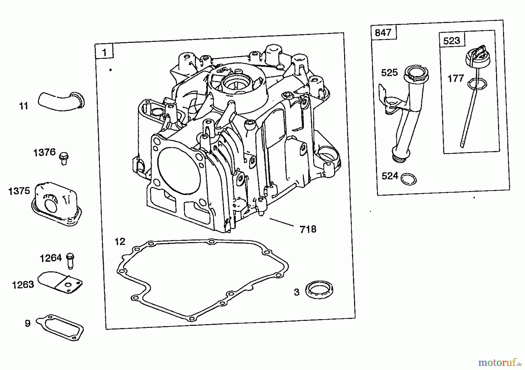  Wolf-Garten Petrol engines Briggs&Stratton DOV 700 E-Start 2047000  (2008) Dipstick, Cylinder