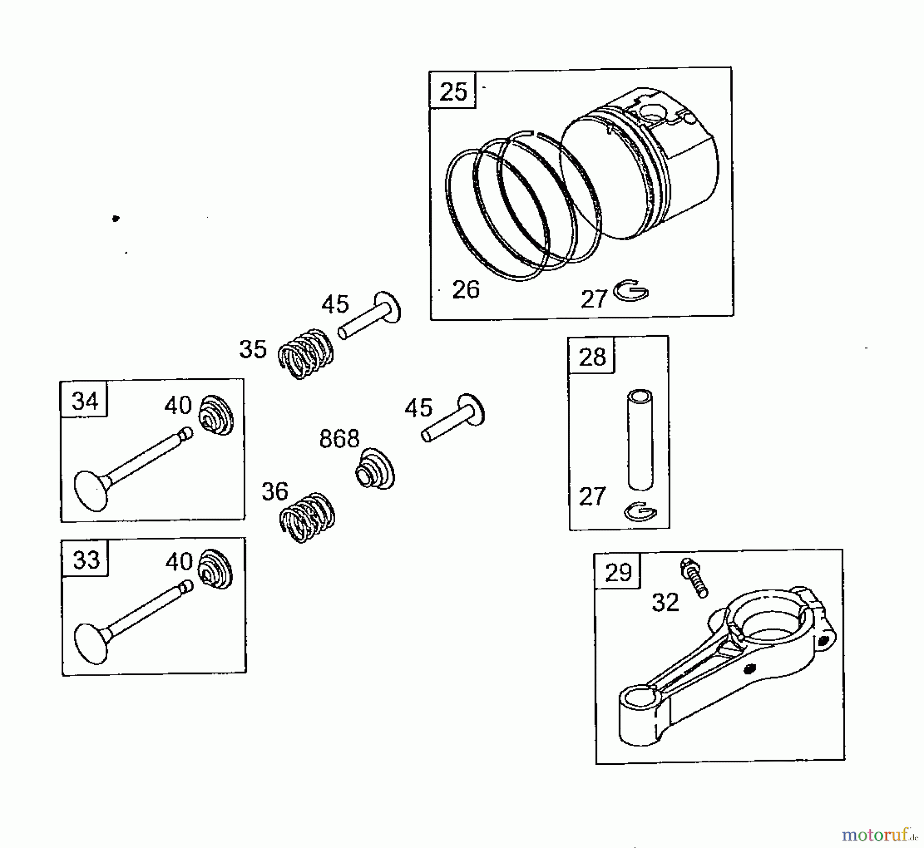  Wolf-Garten Petrol engines Briggs&Stratton Sprint 40500 2056035  (2008) Piston, Connecting rod, Valves