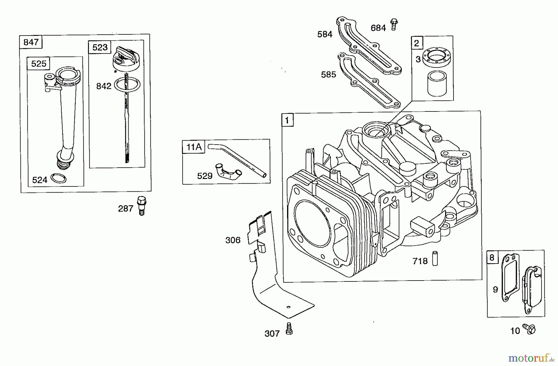  Wolf-Garten Petrol engines Briggs&Stratton Intek 825 2057007  (2008) Dipstick, Cylinder