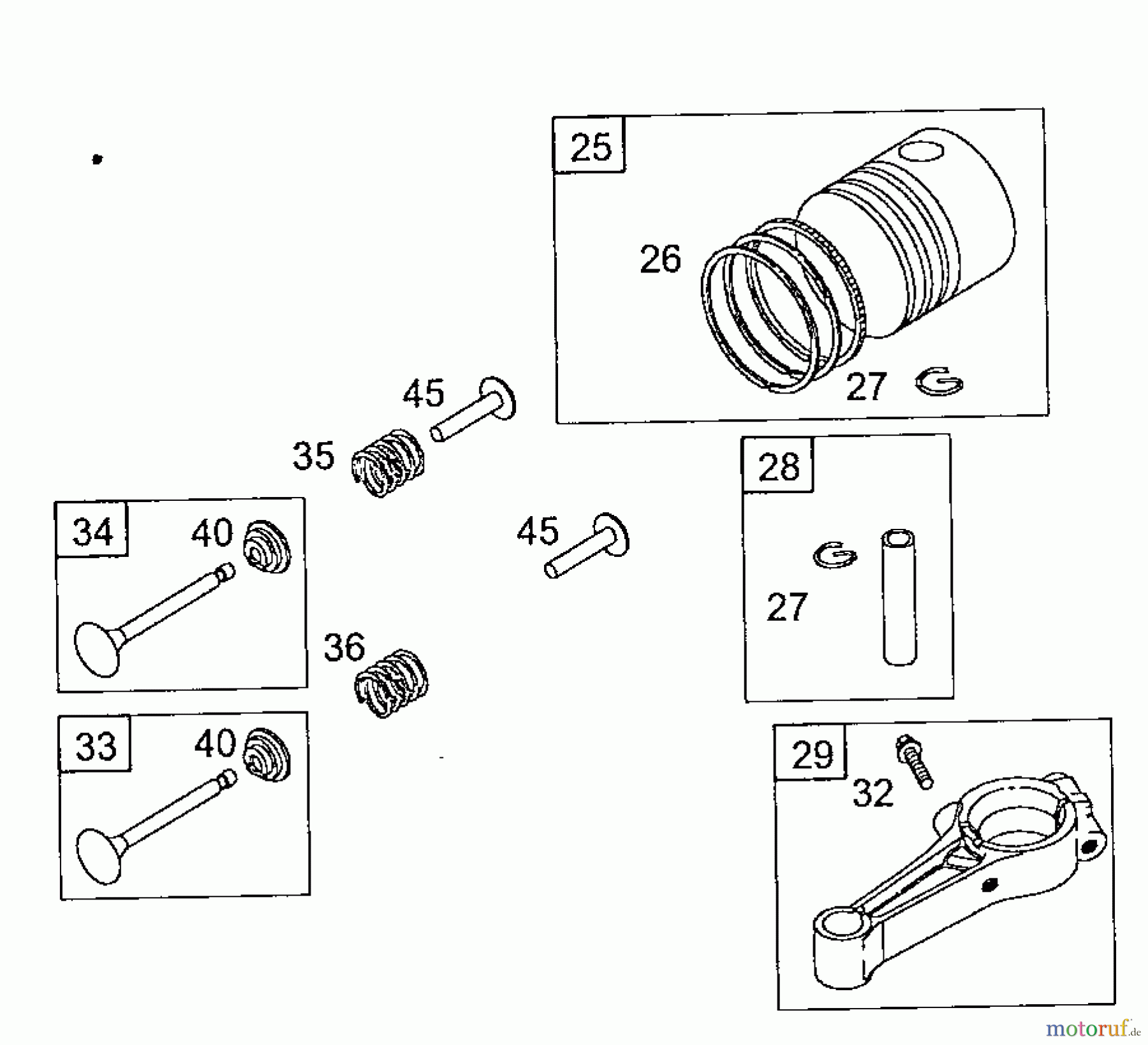  Wolf-Garten Petrol engines Briggs&Stratton 3,5 Classic 450 2077005  (2008) Piston, Connecting rod, Valves