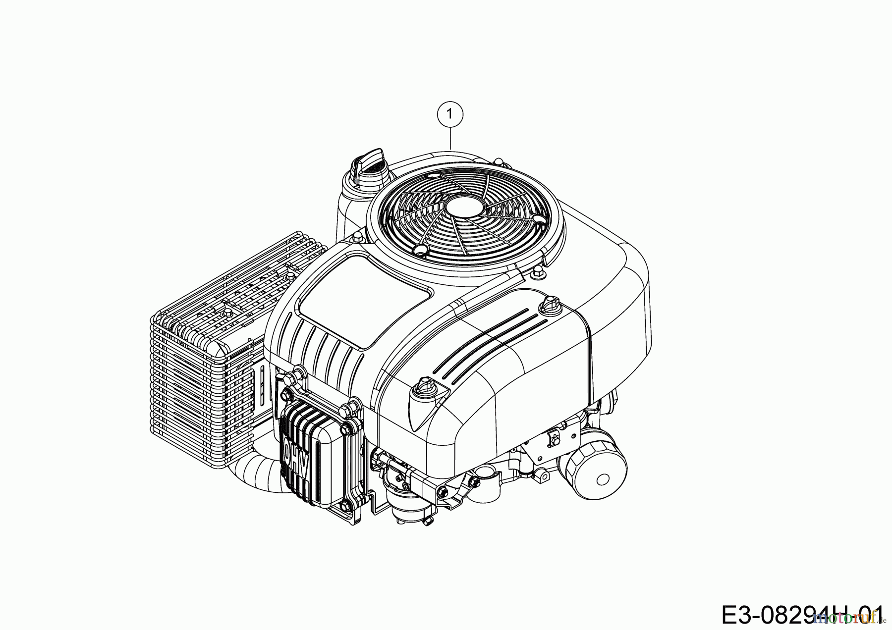  Wolf-Garten Lawn tractors Scooter Pro Hydro 13A221HD650  (2020) Engine