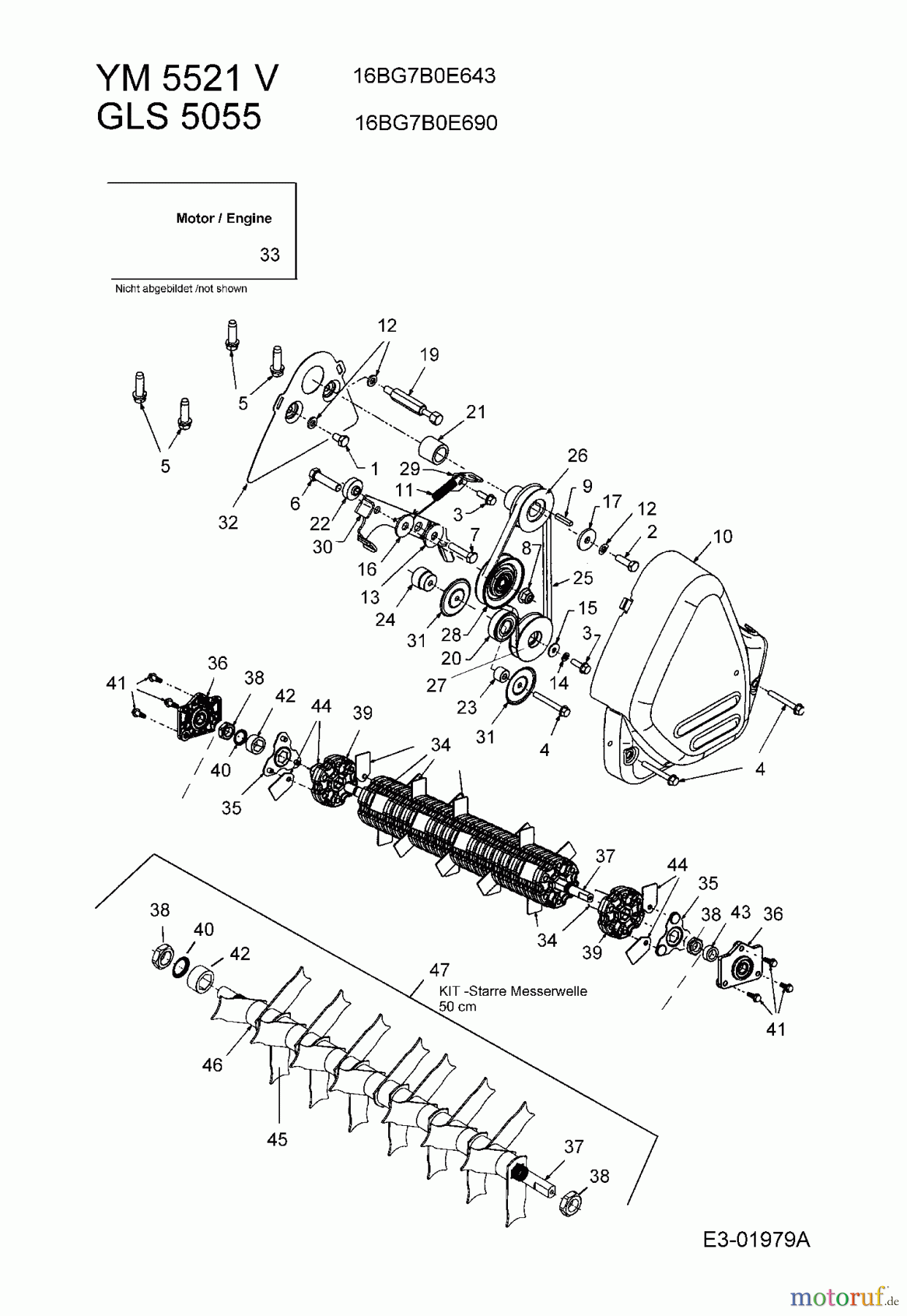  Gutbrod Petrol verticutter GLS 5055 16BG7B0E690  (2005) Belt, Cutter block, Engine