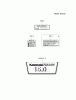 Kawasaki Motoren FA210V - AS02 bis FH641V - DS24 FH430V-CS11 - Kawasaki FH430V 4-Stroke Engine Spareparts LABEL