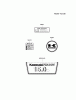 Kawasaki Motoren FA210V - AS02 bis FH641V - DS24 FH430V-DS06 - Kawasaki FH430V 4-Stroke Engine Spareparts LABEL