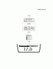 Kawasaki Motoren FA210V - AS02 bis FH641V - DS24 FH541V-CW04 - Kawasaki FH541V 4-Stroke Engine Spareparts LABEL