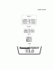 Kawasaki Motoren FH641V - DS25 bis FS481V - BS13 FH680V-BS28 - Kawasaki FH680V 4-Stroke Engine Spareparts LABEL