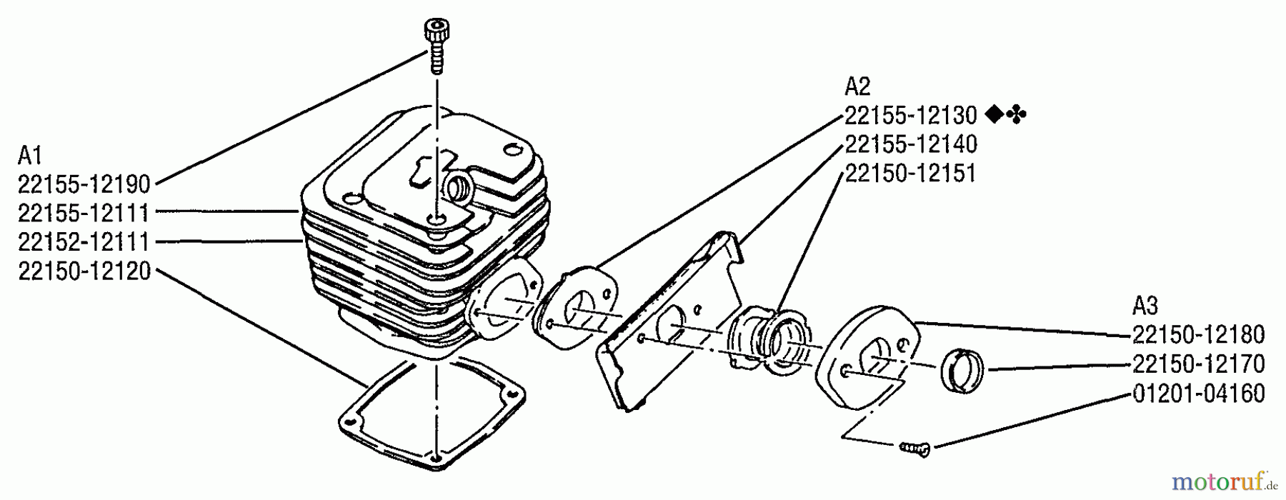  Shindaiwa Sägen, Motorsägen 575 - Shindaiwa Chainsaw Cylinder